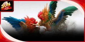 Mẹo Cược Đá Gà Cựa Dao